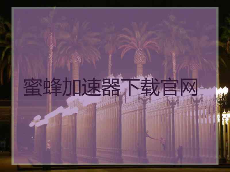 蜜蜂加速器下载官网
