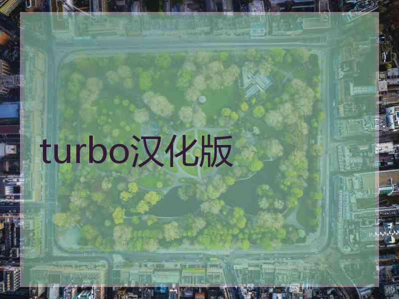turbo汉化版