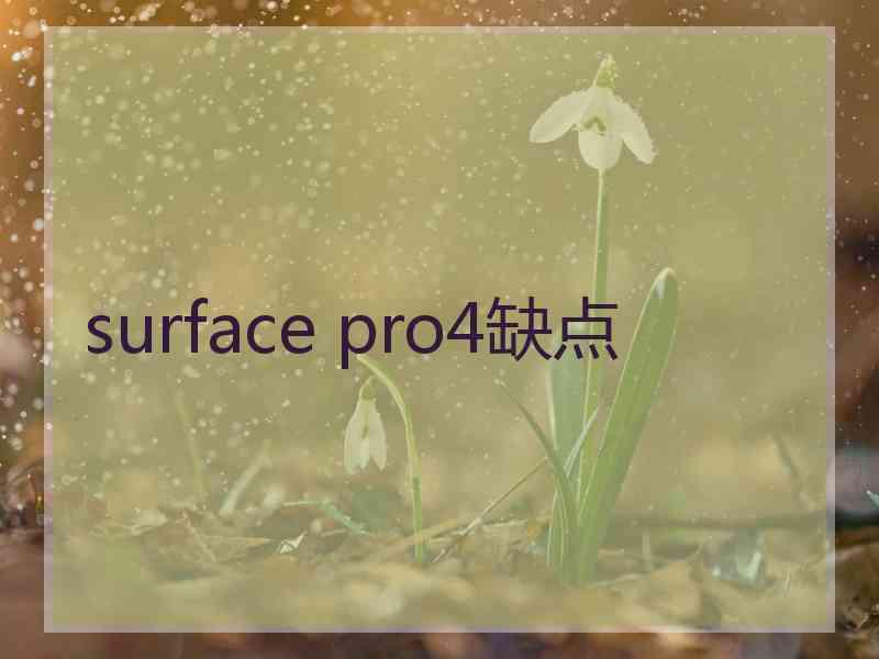surface pro4缺点