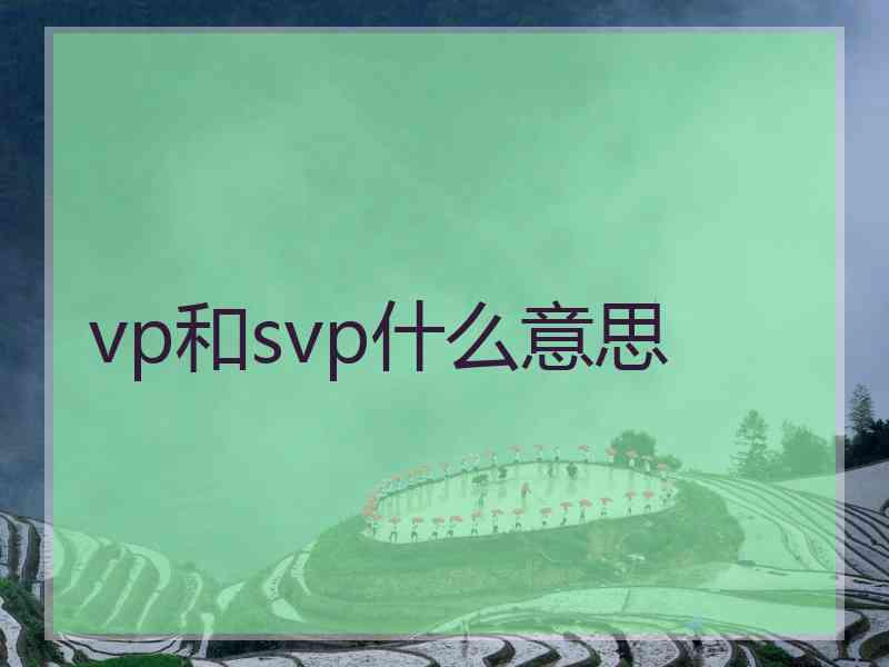 vp和svp什么意思