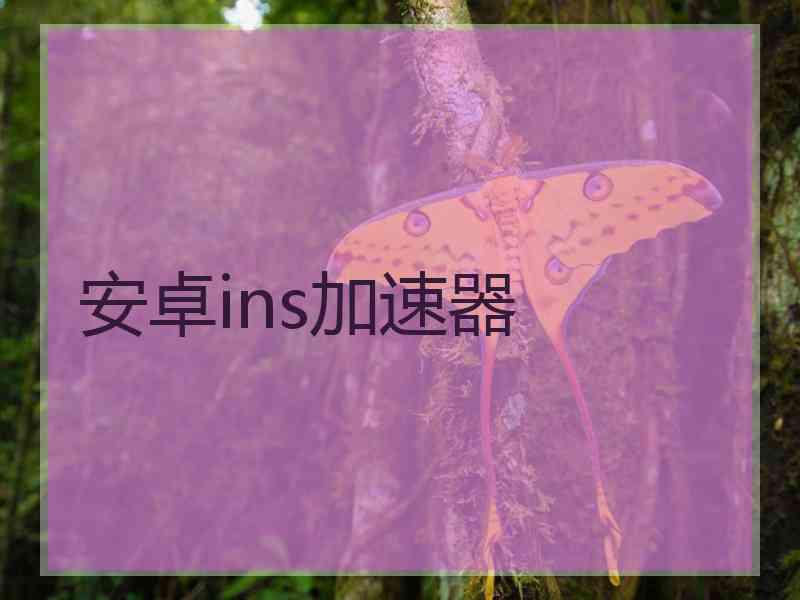 安卓ins加速器