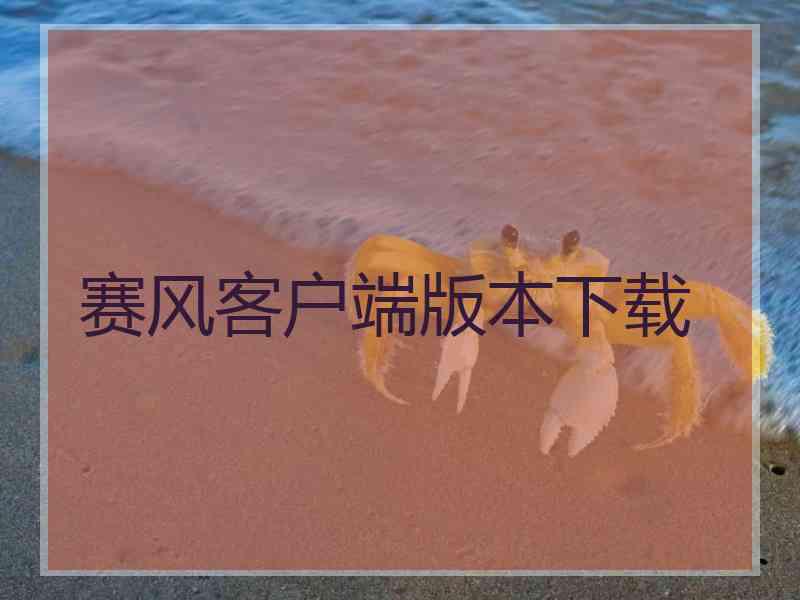 赛风客户端版本下载