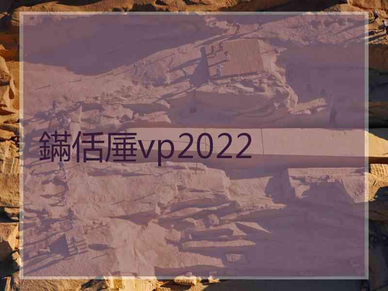 鏋佸厜vp2022