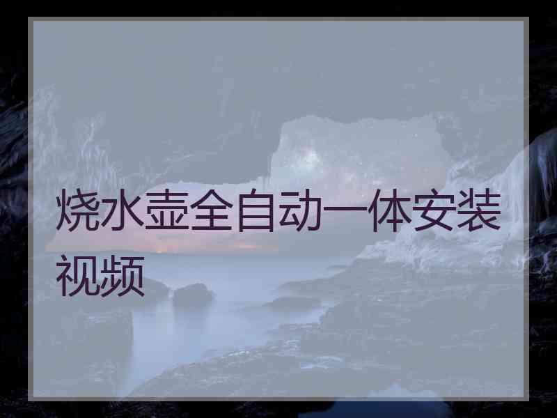 烧水壶全自动一体安装视频