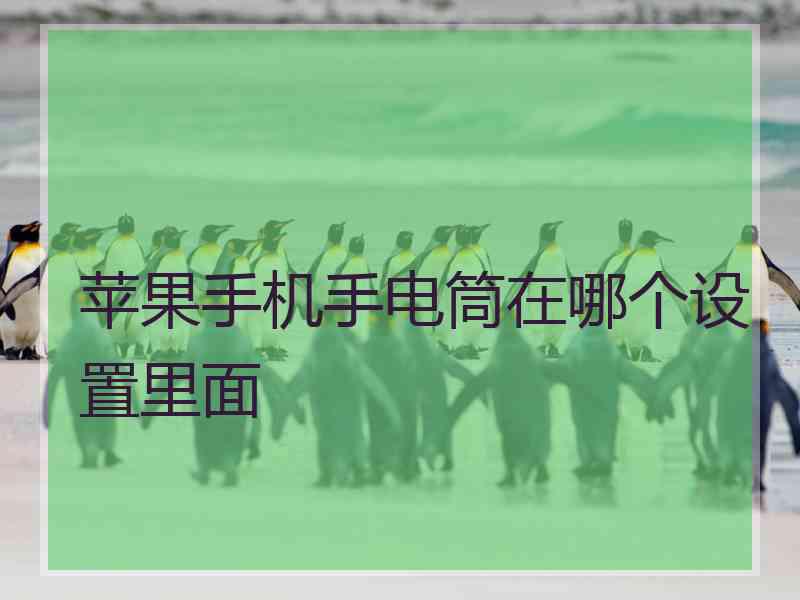 苹果手机手电筒在哪个设置里面