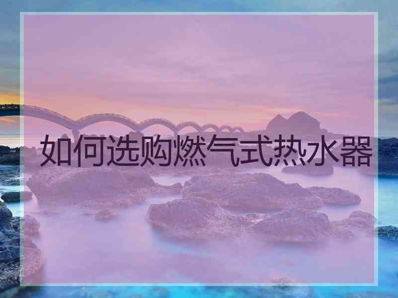 如何选购燃气式热水器