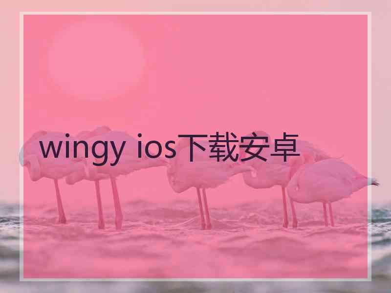 wingy ios下载安卓