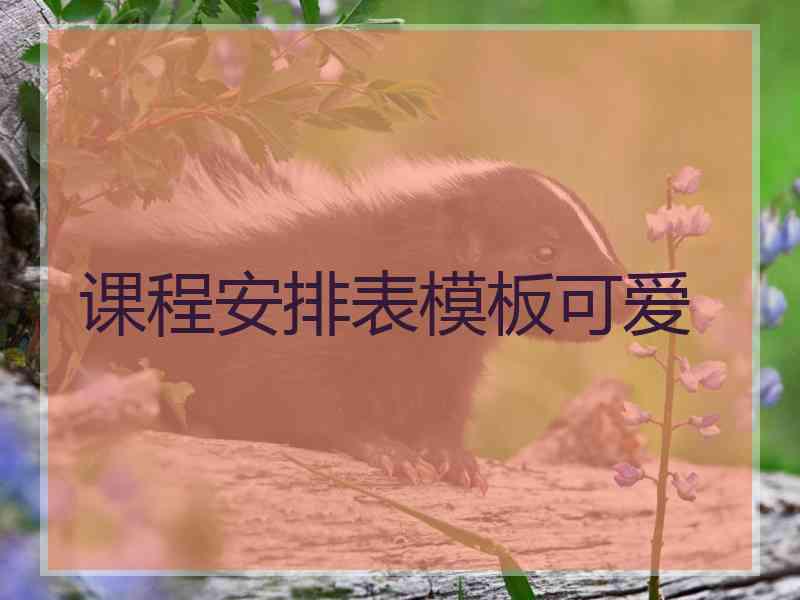 课程安排表模板可爱