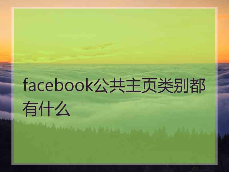 facebook公共主页类别都有什么