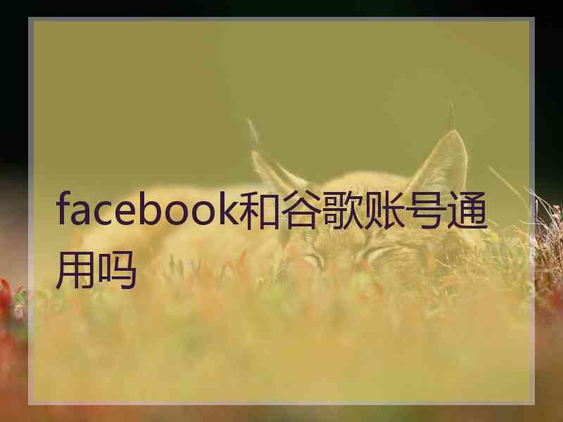 facebook和谷歌账号通用吗