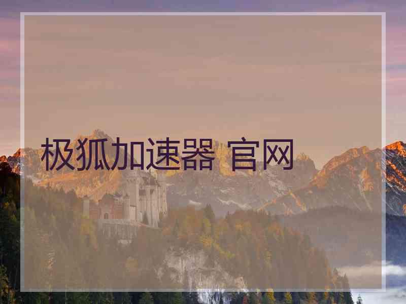 极狐加速器 官网