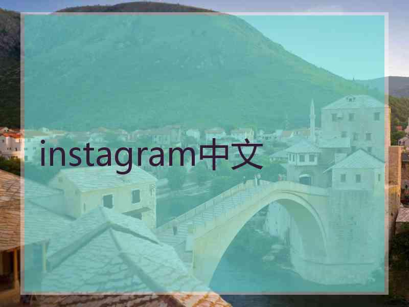 instagram中文