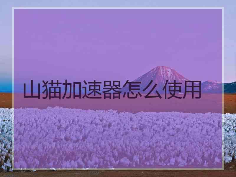 山猫加速器怎么使用