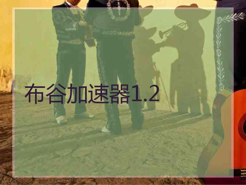 布谷加速器1.2