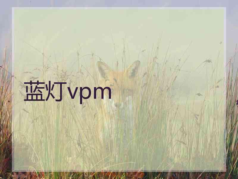 蓝灯vpm