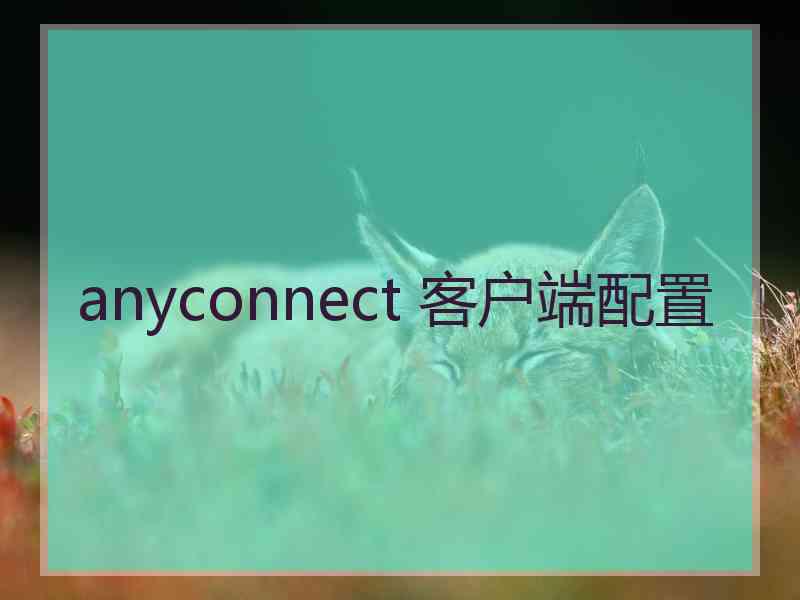 anyconnect 客户端配置