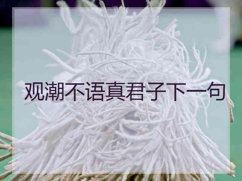 观潮不语真君子下一句