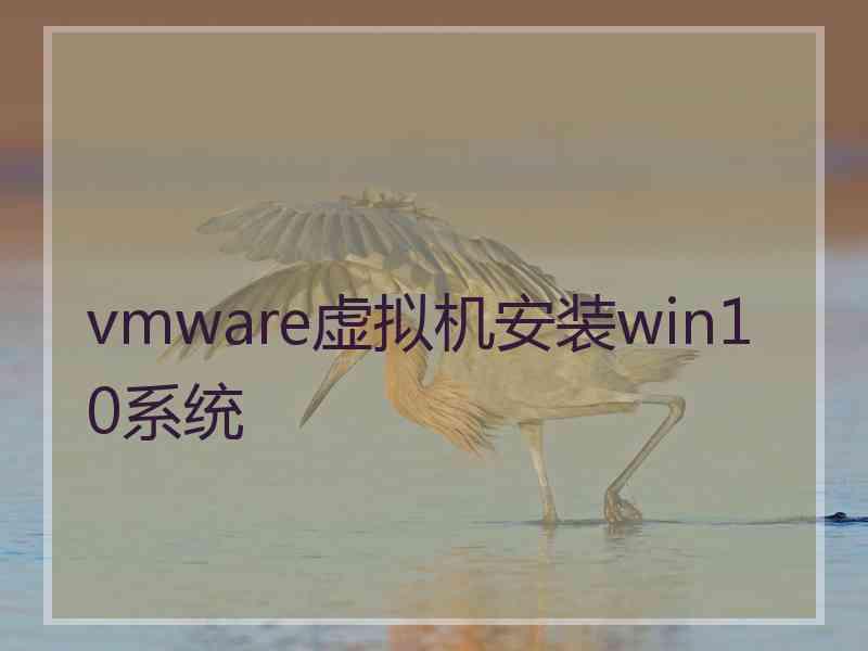vmware虚拟机安装win10系统