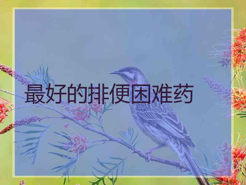 最好的排便困难药