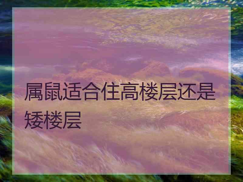 属鼠适合住高楼层还是矮楼层