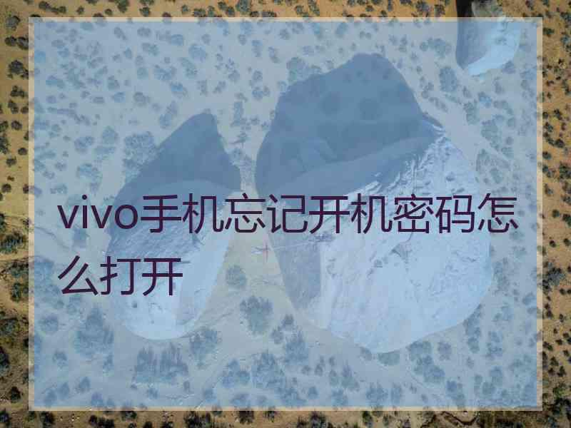 vivo手机忘记开机密码怎么打开