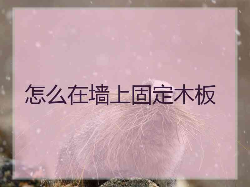 怎么在墙上固定木板