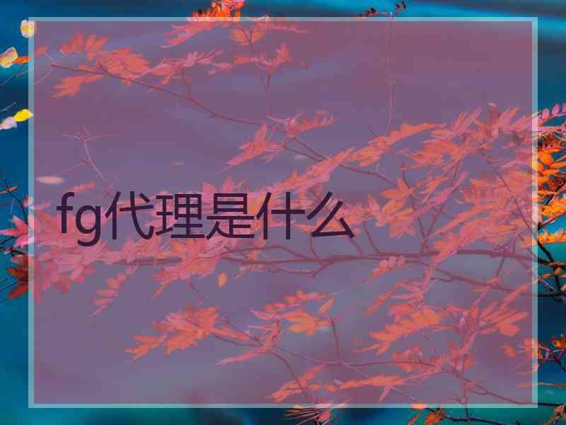 fg代理是什么