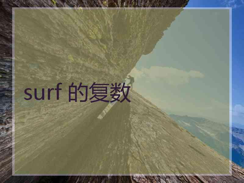 surf 的复数