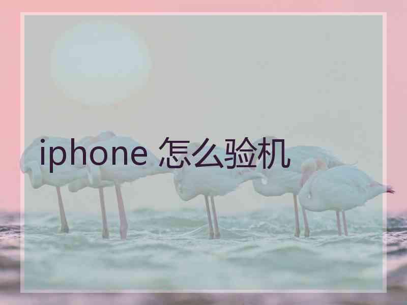 iphone 怎么验机