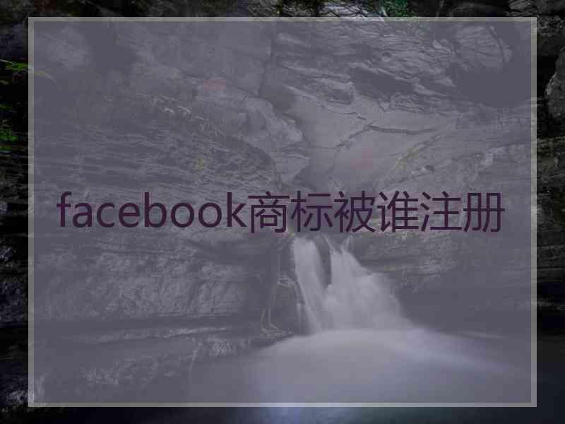 facebook商标被谁注册