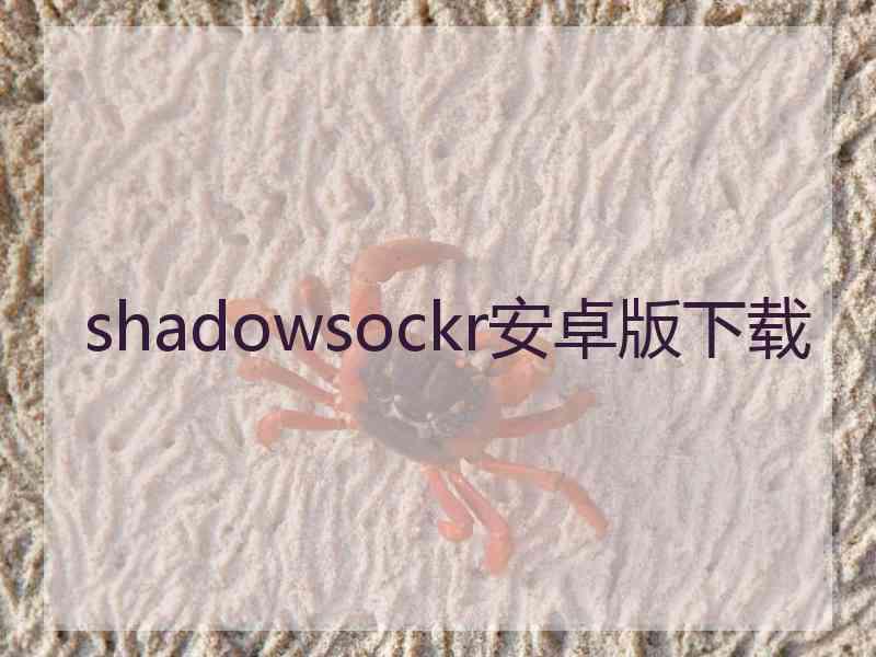 shadowsockr安卓版下载
