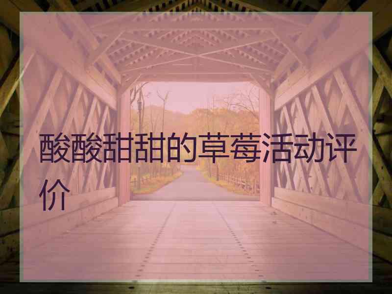 酸酸甜甜的草莓活动评价