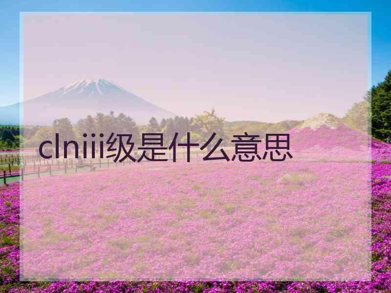 clniii级是什么意思