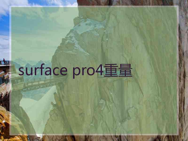 surface pro4重量
