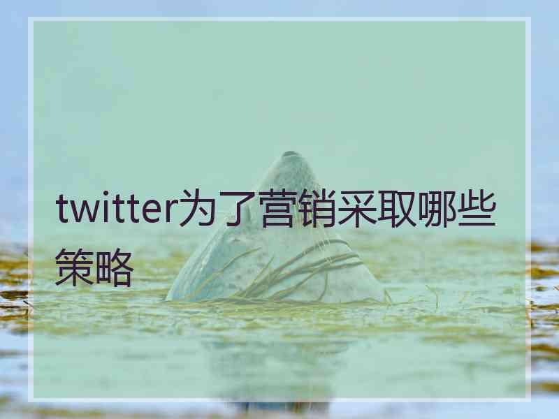 twitter为了营销采取哪些策略