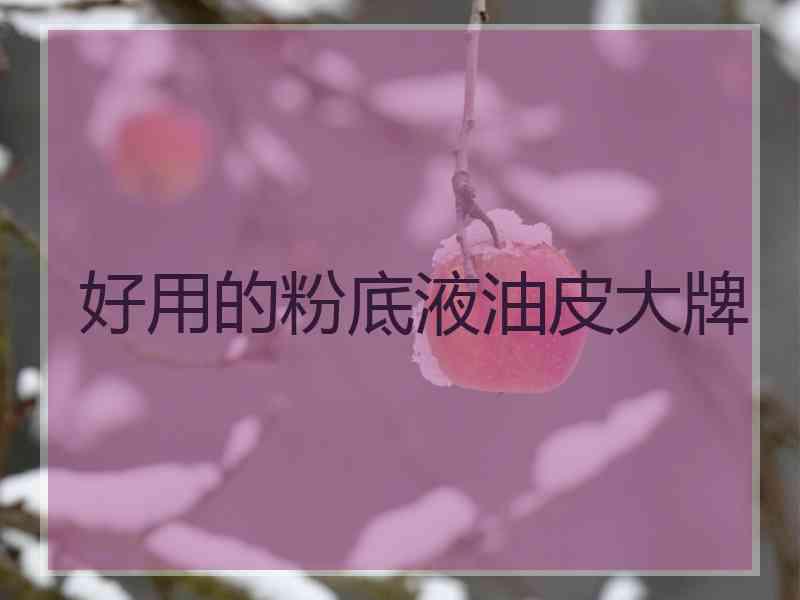 好用的粉底液油皮大牌